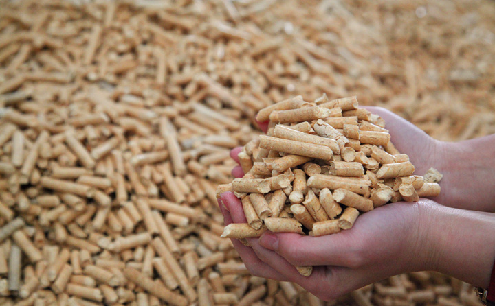 鋸末顆粒機生產(chǎn)的生物質(zhì)顆粒 鋸末顆粒機生產(chǎn)的生物質(zhì)顆粒