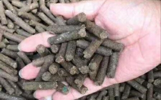 水果渣越來越受歡迎，因為它的出現—生物質顆粒機設備