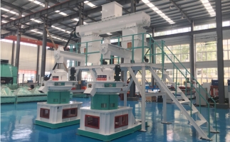 木屑顆粒機(jī)多少錢一臺?建顆粒廠大約多少錢？
